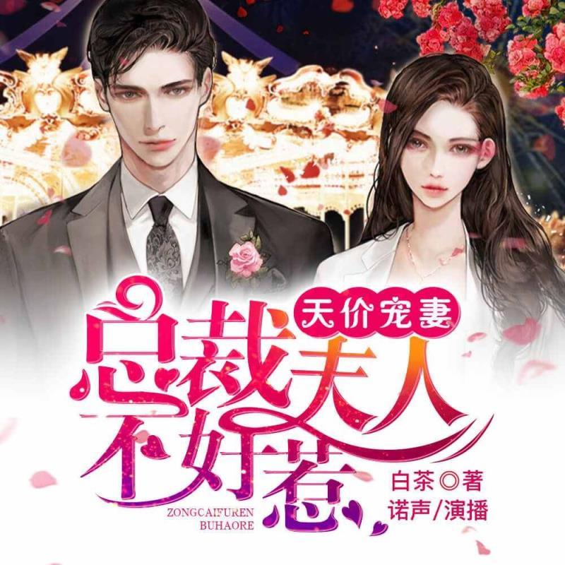 天价宠妻：总裁夫人不好惹