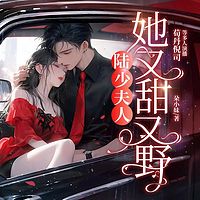 陆少夫人她又甜又野