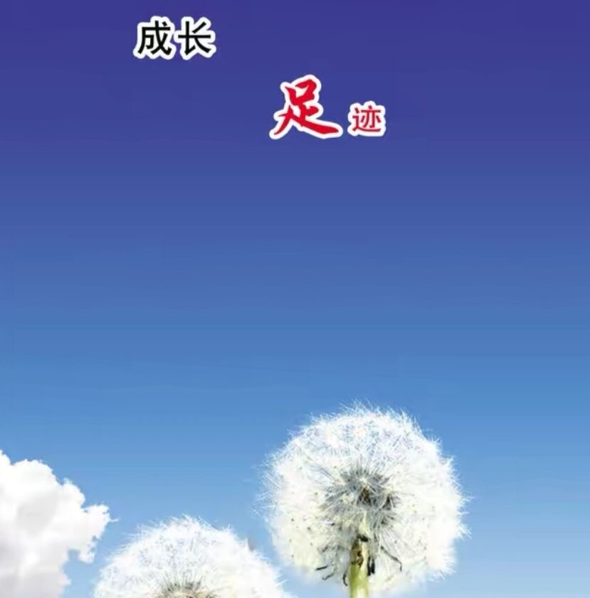 成长足迹