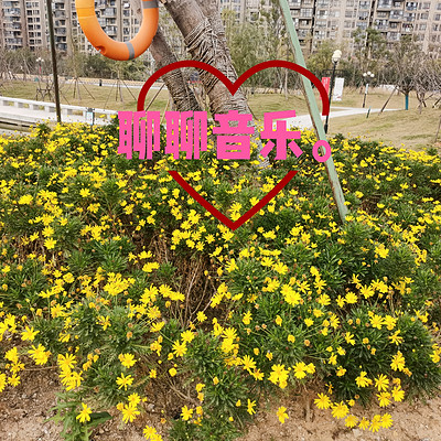 音乐的感想。 音乐的感想。