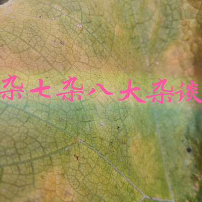 杂七杂八。 杂七杂八。