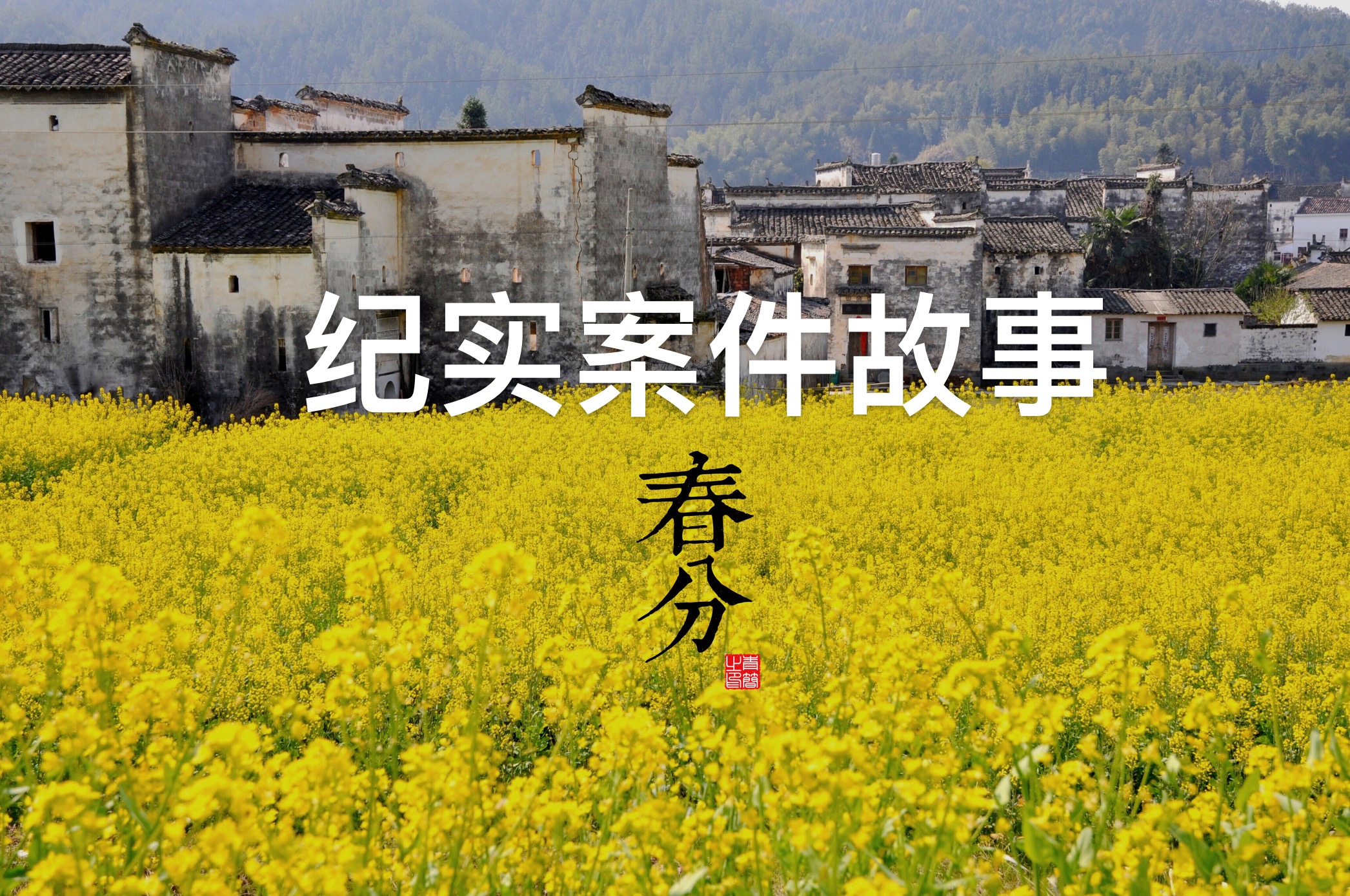 案件纪实故事