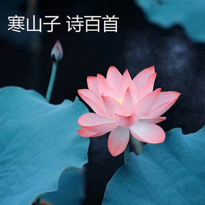 佛家 寒山 诗百首