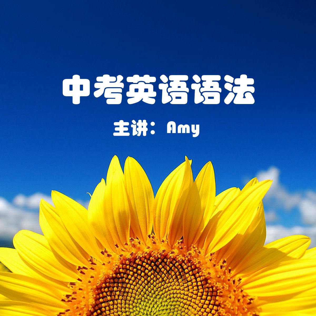 中考英语语法