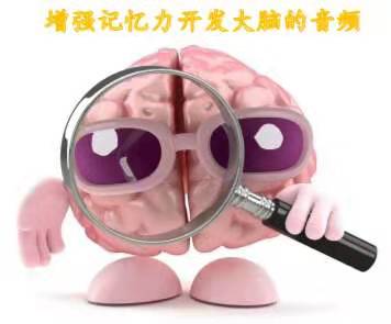 增强记忆力开发大脑