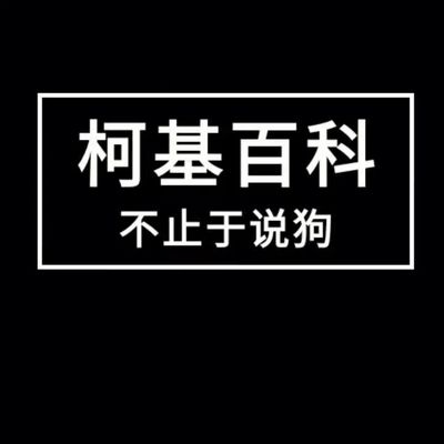 柯基百科 柯基百科