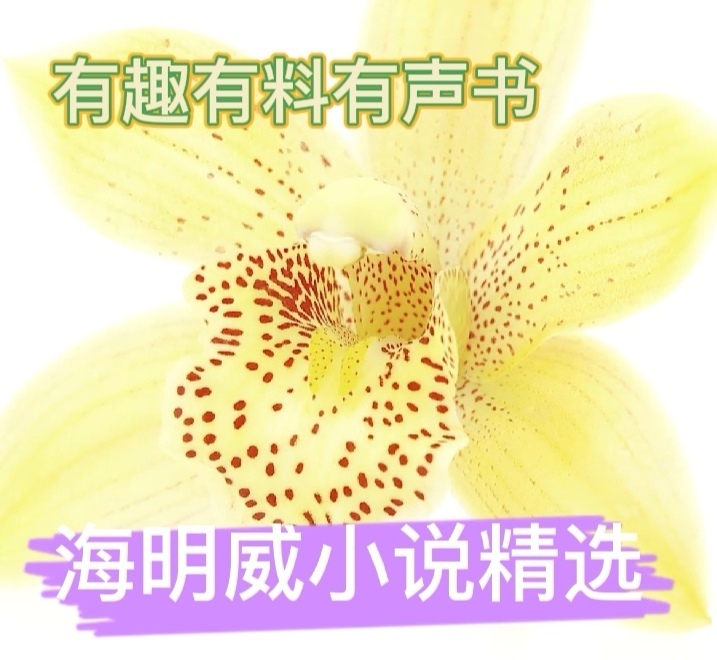 樱桃乐活小说-海明威精选集