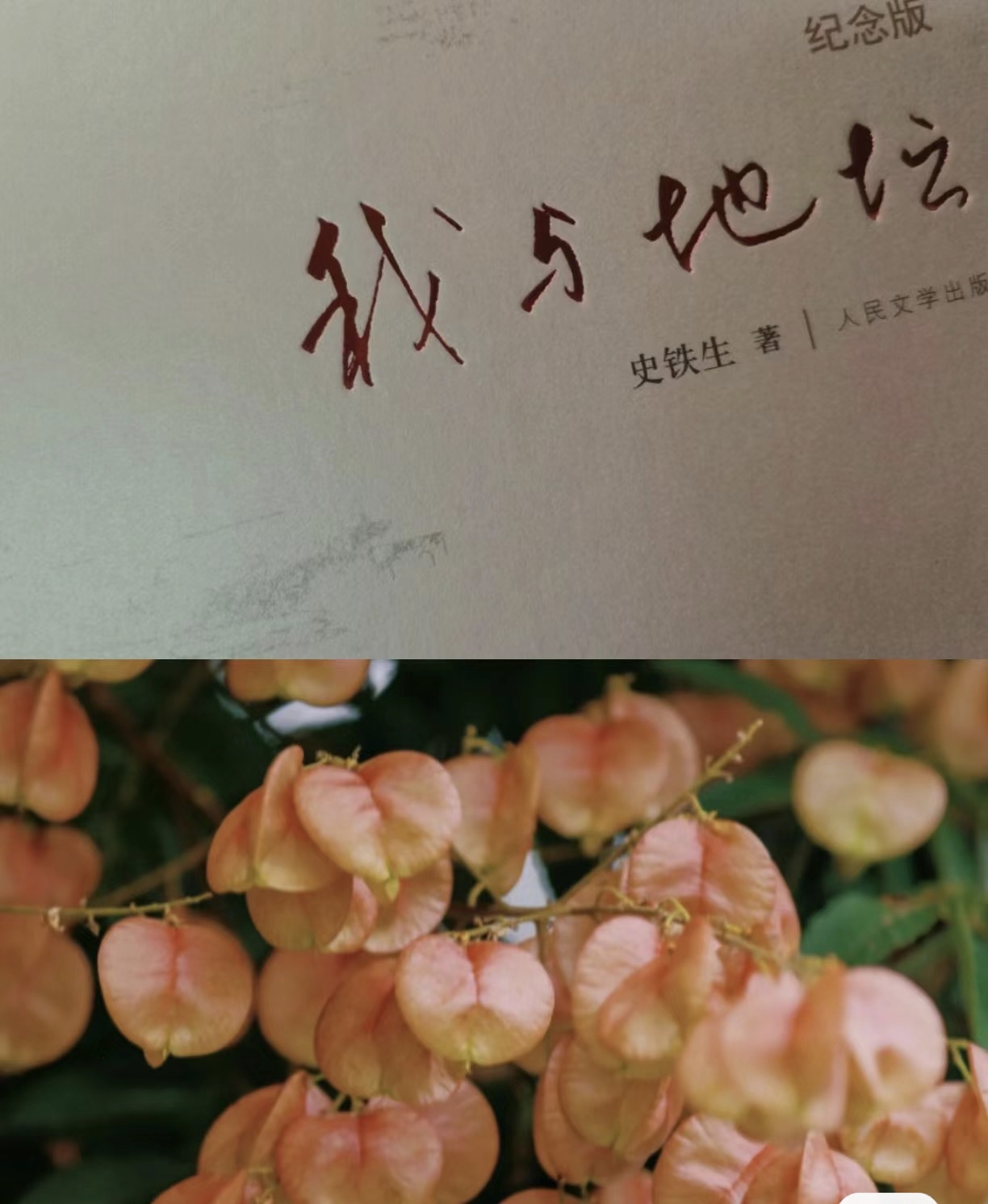 史铁生《我与地坛》