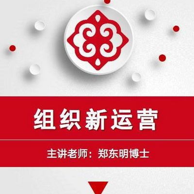 郑东明|企业组织结构股权系统