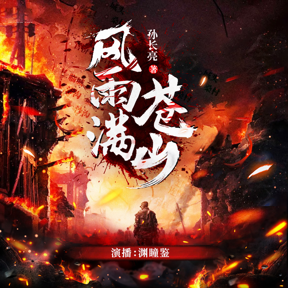 风雨满苍山丨热血抗战丨军阀丨悍匪