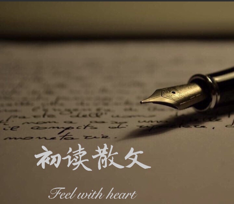 初读散文