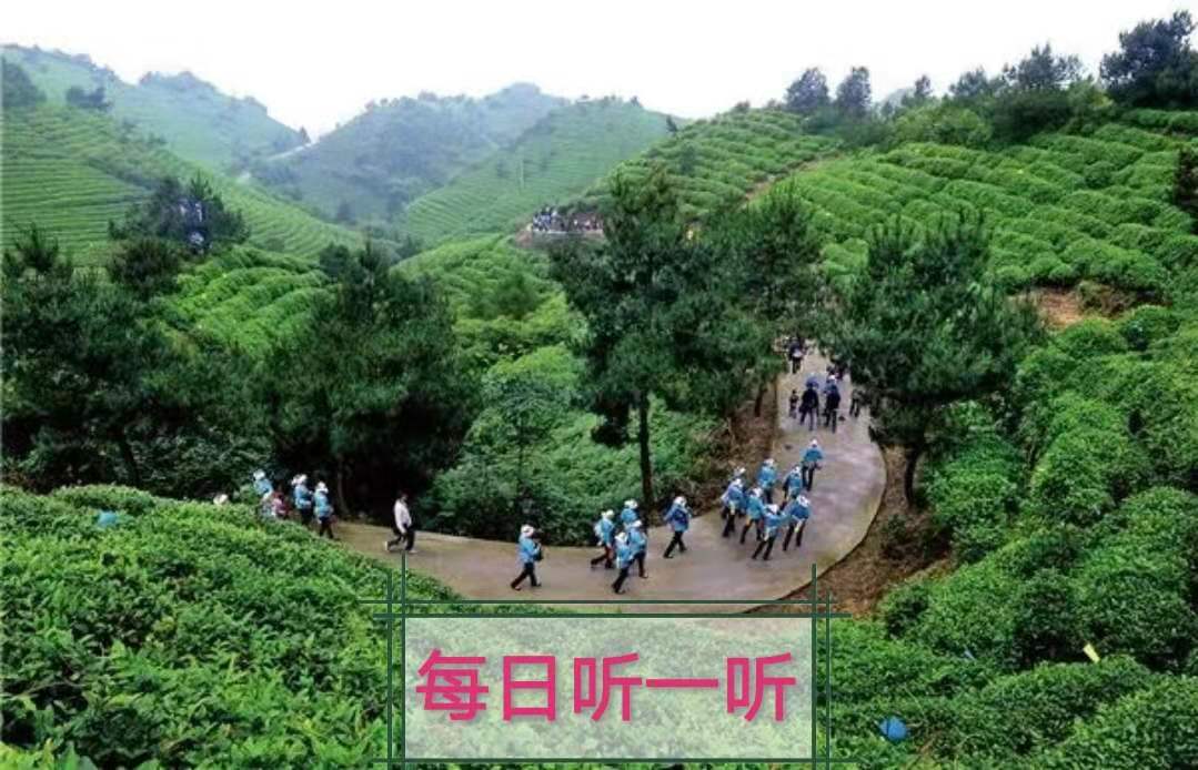每日听一听