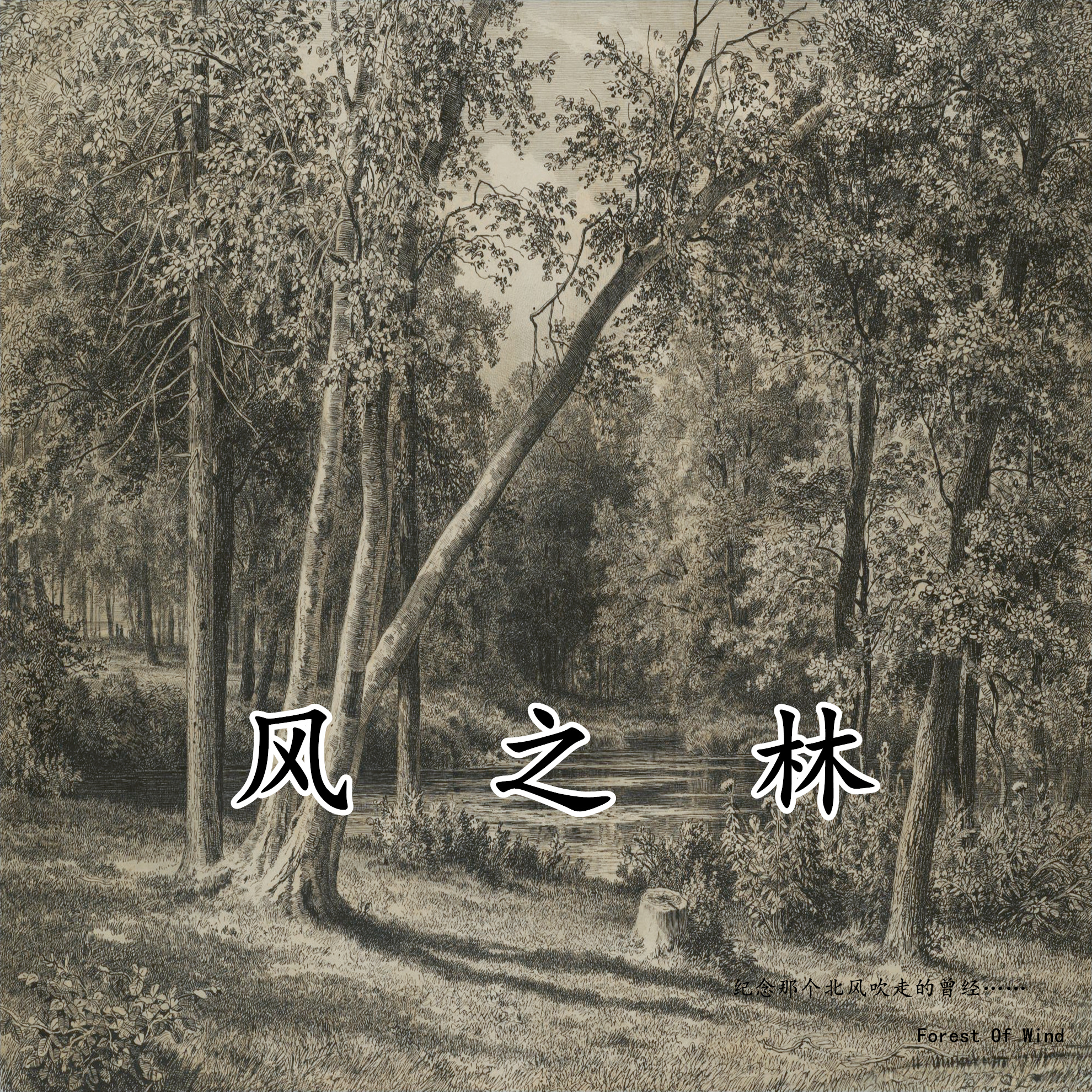 《风之林》