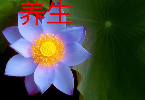 养生