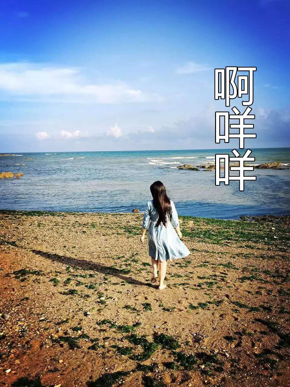 啊咩咩
