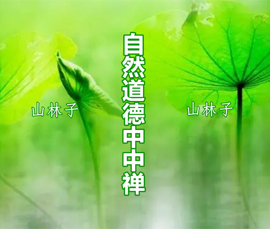 《山林子谈自然道德中中禅》诗中妙