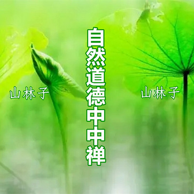 《山林子谈自然道德慧智中中禅》诗中妙