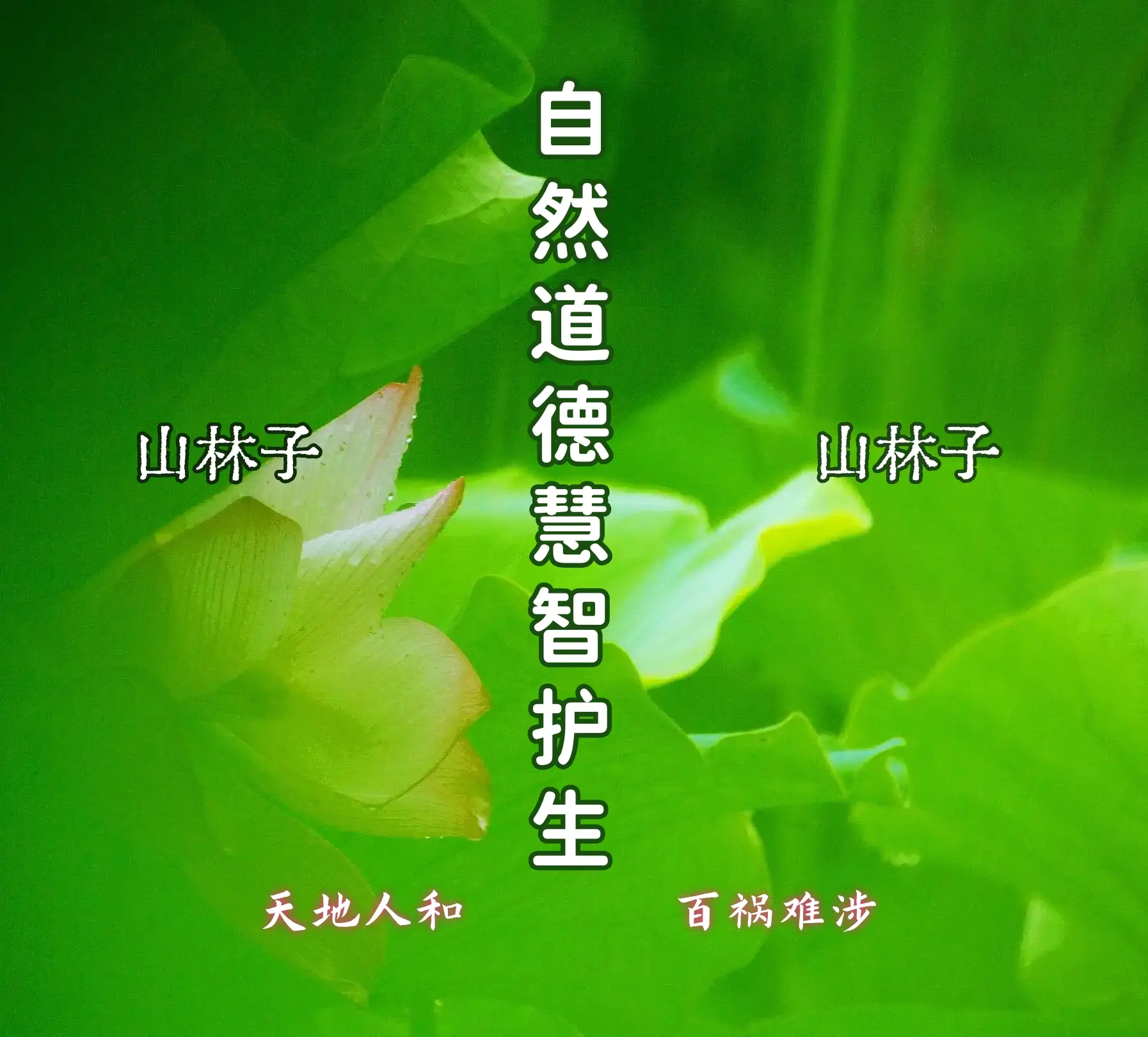 《山林子谈自然慧智护生》诗中妙