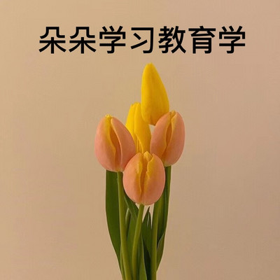 朵朵学习教育学