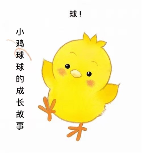 小鸡球球成长故事