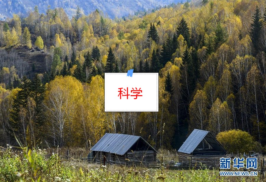 科学