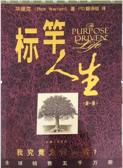 标竿人生