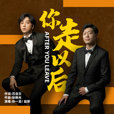 你走以后 你走以后