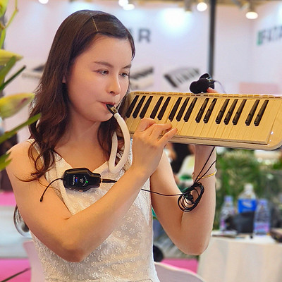 艾今口风琴经典音乐演奏专辑