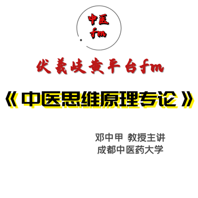 中医思维原理专论-教学课程 中医思维原理专论-教学课程