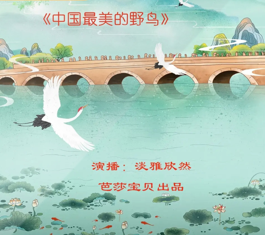《中国最美的野鸟》| 淡雅欣然演播