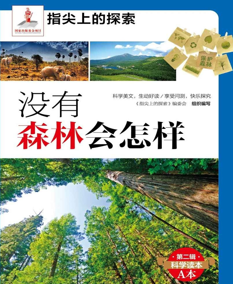 指尖上的探索：没有森林会怎样【青少年科普读物】