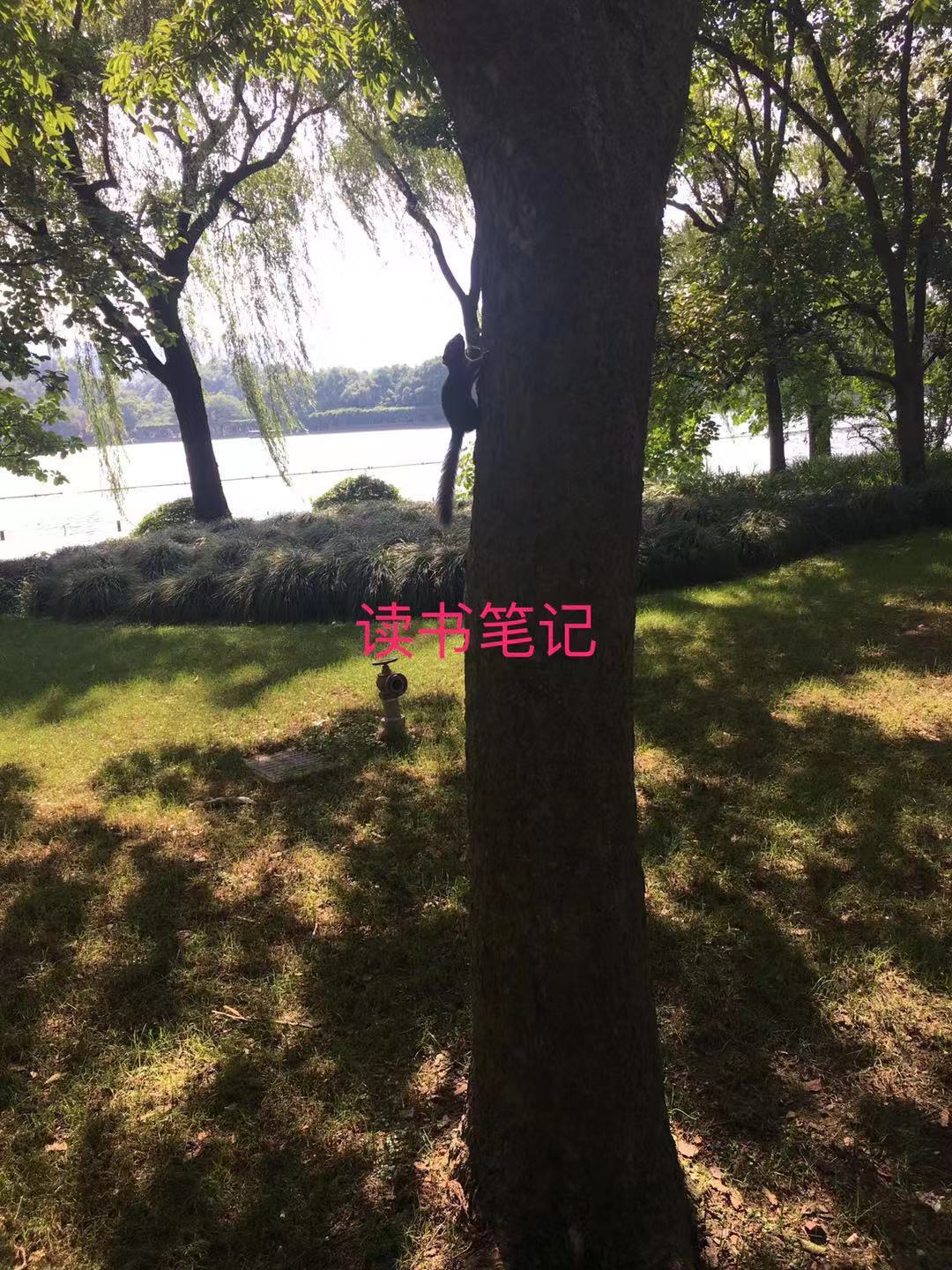 读书笔记