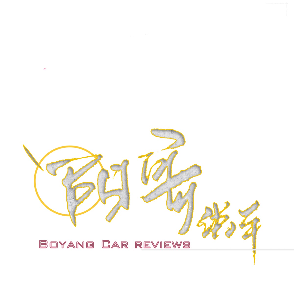 阳哥说车