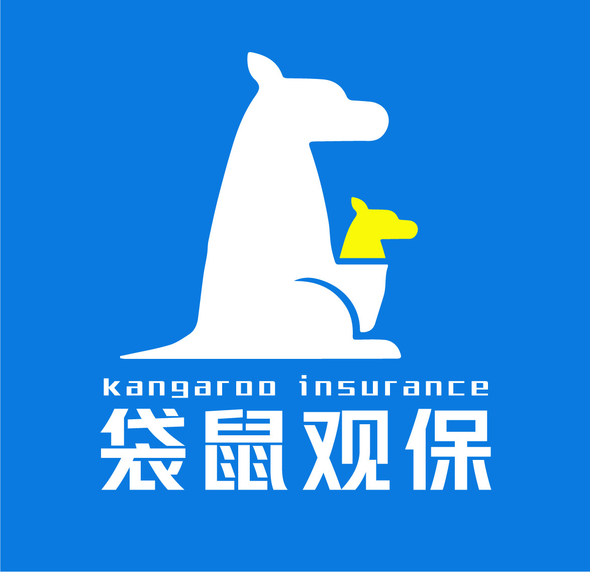 袋鼠观保保险知识科普