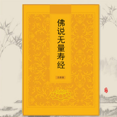 佛说无量寿经