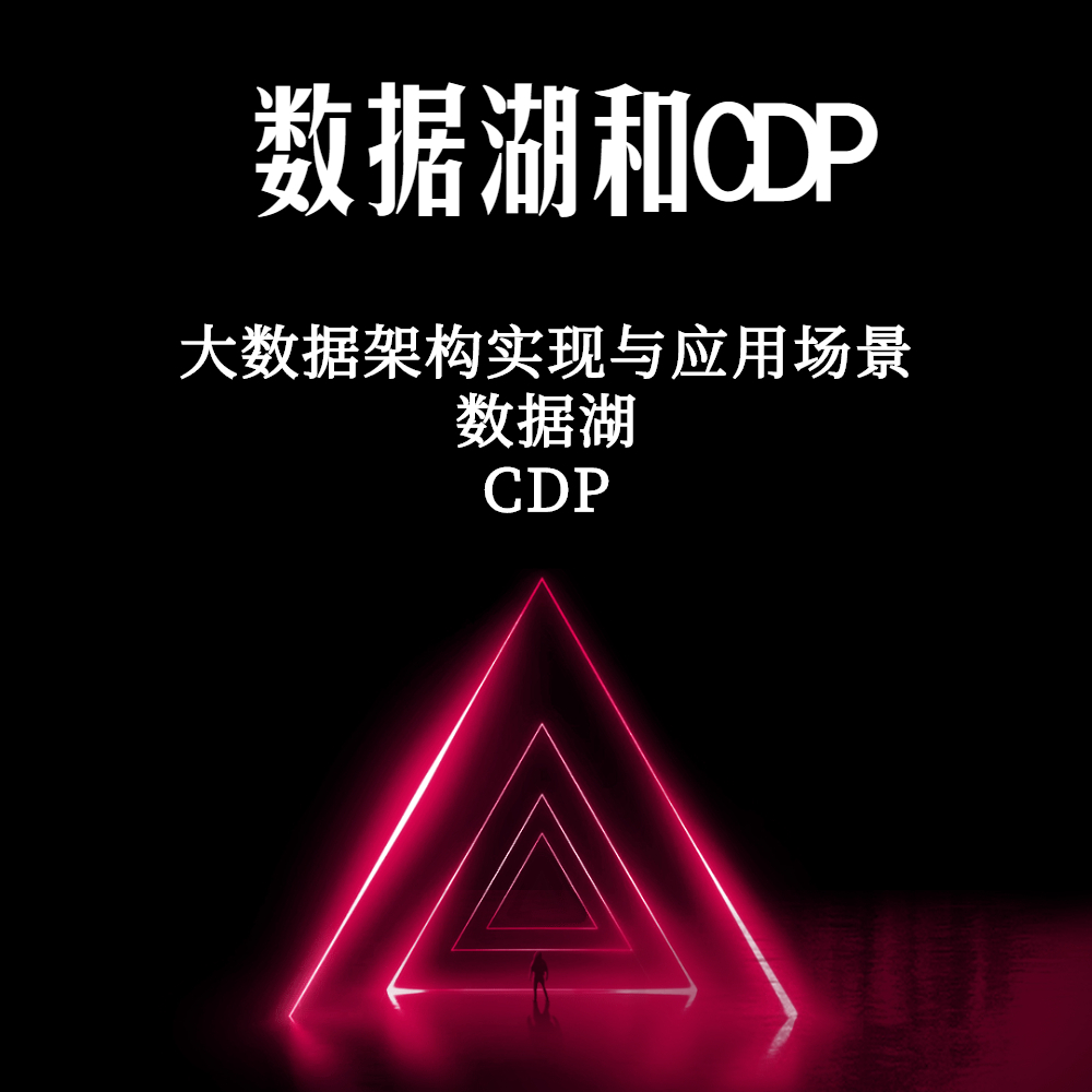 数据湖和CDP
