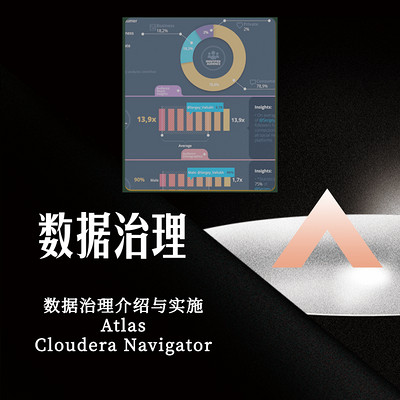 数据治理 数据治理