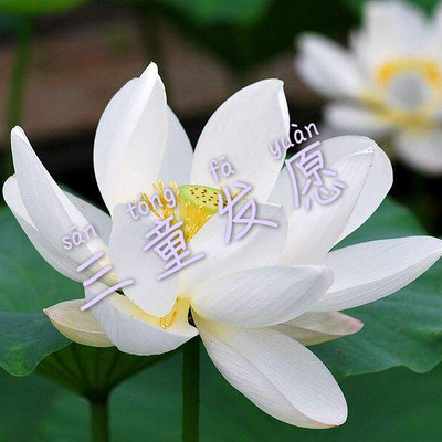 三童发愿