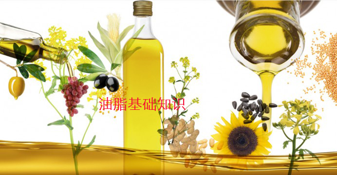 油脂基础知识