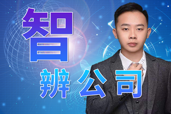 智辨公司