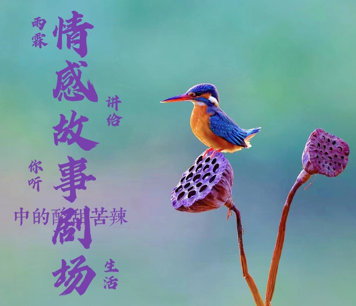 真实情感故事