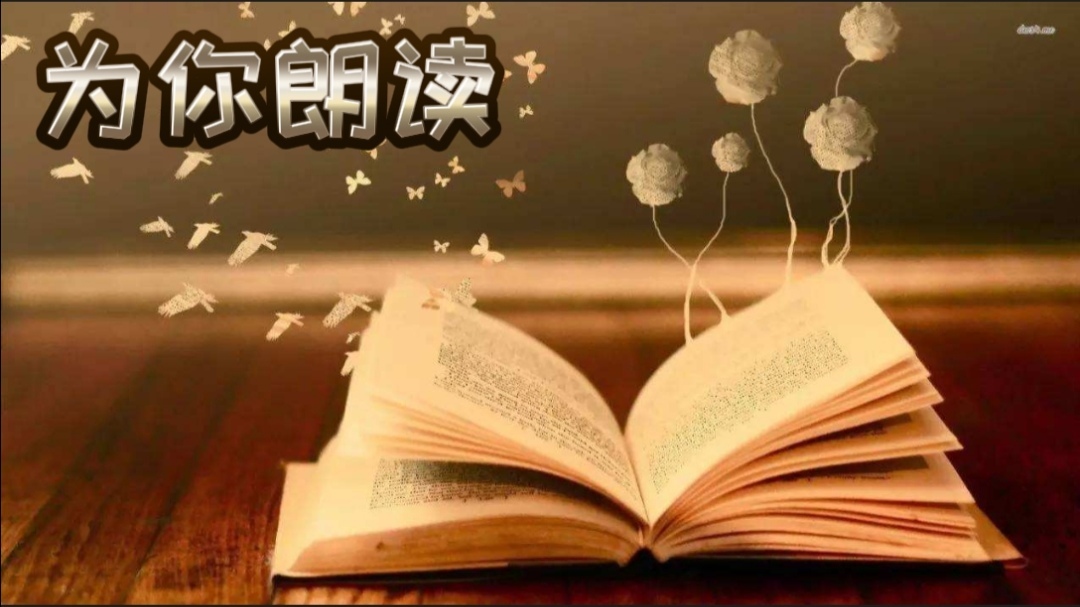 端小惠读书 | 精选美文