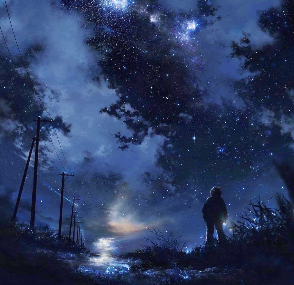 追星星的人