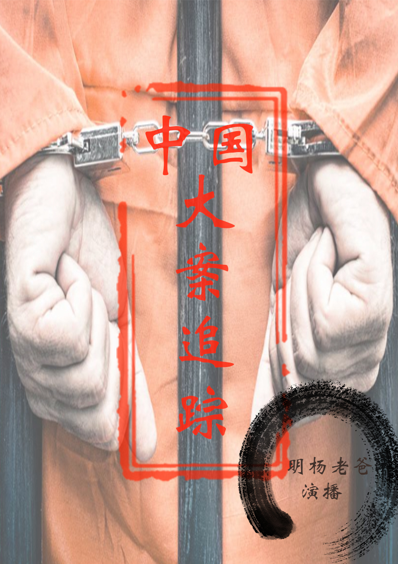 大案追踪