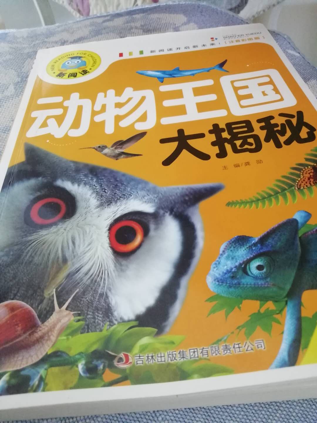 动物王国大揭秘