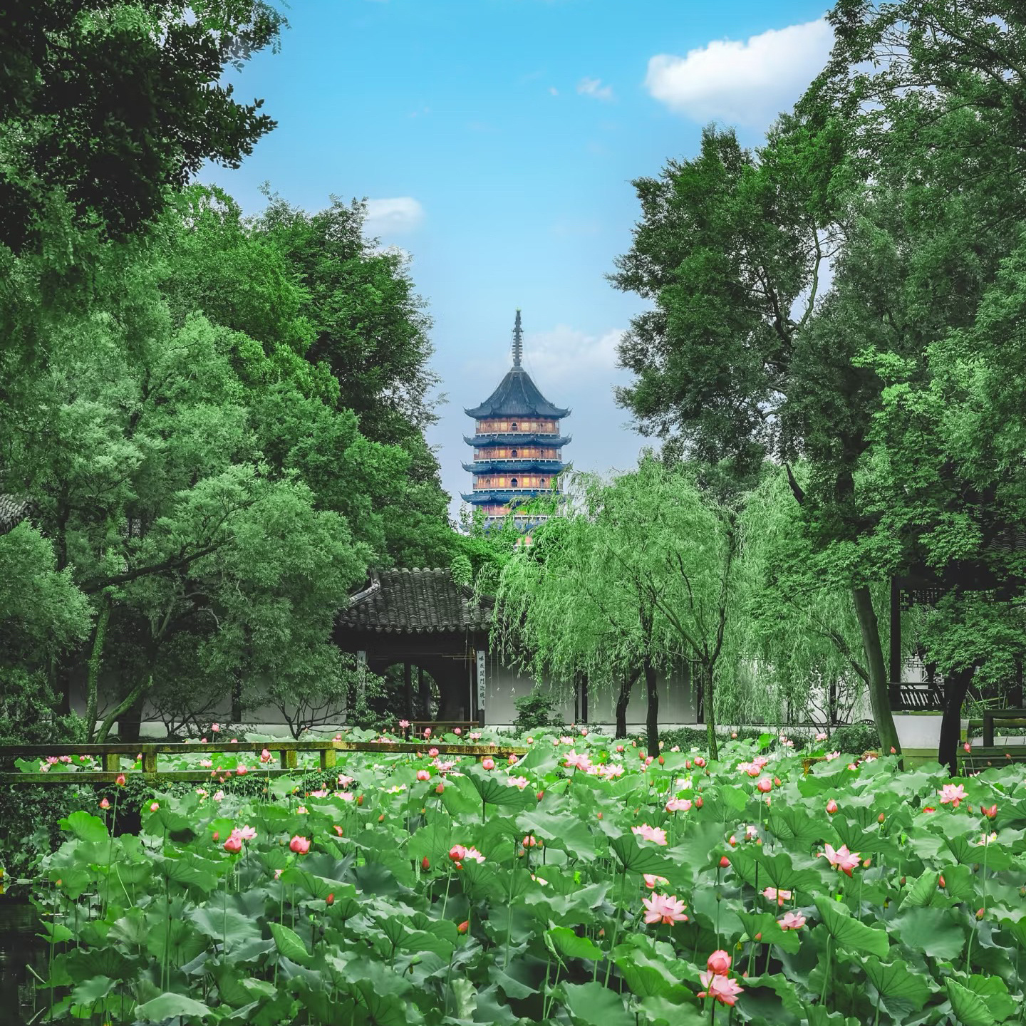 苏州书写国际湿地城市的可持续篇章