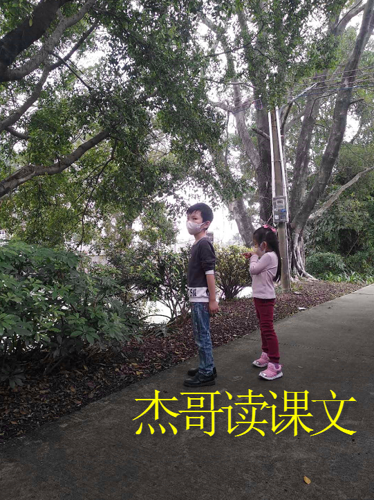 杰哥读课文
