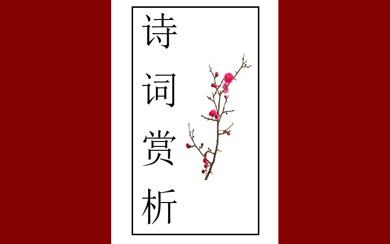 唐诗赏析