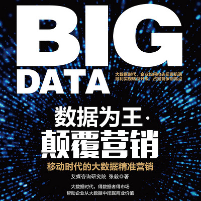 数据为王·颠覆营销 数据为王·颠覆营销