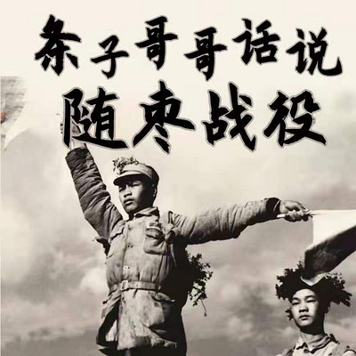 条子哥哥话说随枣战役 条子哥哥话说随枣战役
